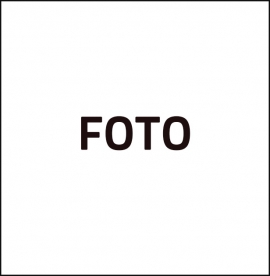 Rosa Fortunato